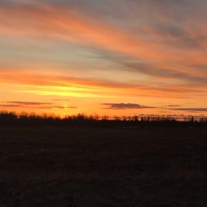 Meet your Posher, De vine